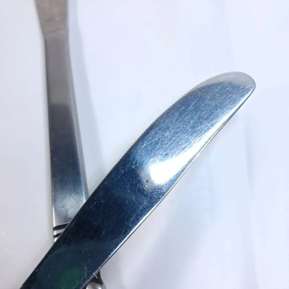 Cambridge Stainless Steel CBS1‎ Knife Dinner butter set 2 scroll fleur de lis